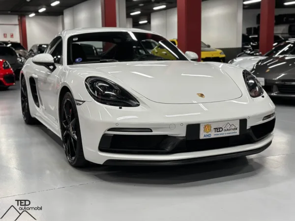 Porsche 718 Cayman GTS 365cv 03